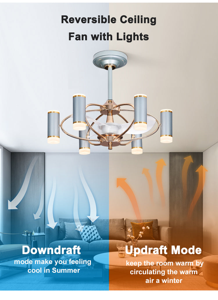 Modern Ceiling Fan Light