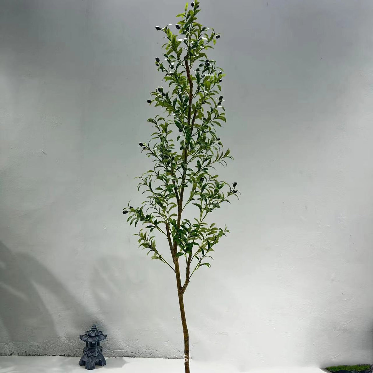 Olive Tree Simulation Plants