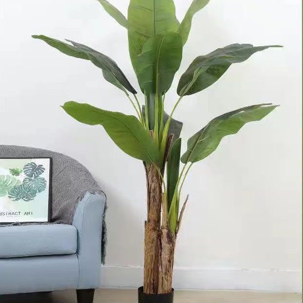 Simulita Plantano-Arbo - Granda Endoma Potita Verda Planto