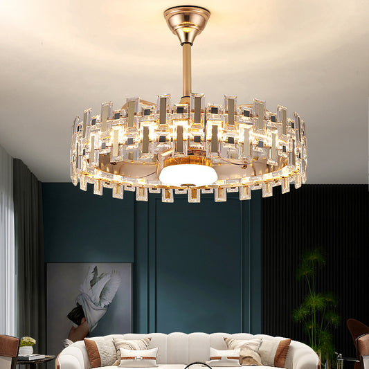 Smart Modern Fan Light