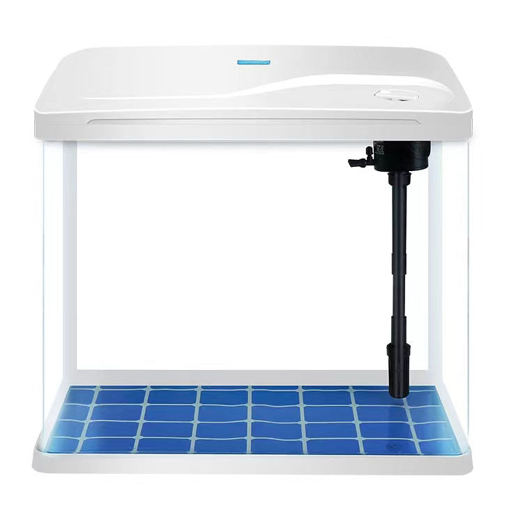 Small Rectangular Glass Goldfish & Turtle Tank