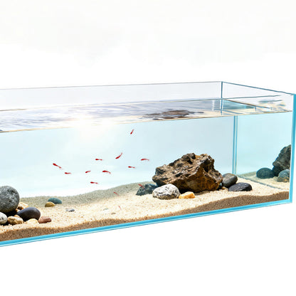 Ultra Clear Glass Reptile Aquascape Tank