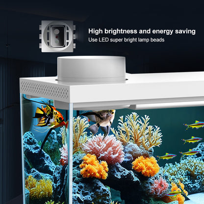 App Remote Feeding Portable Ecological Aquarium