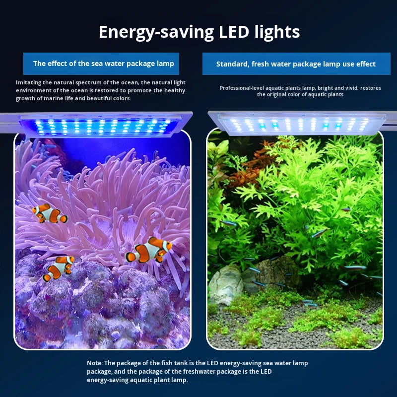 Modern Thickened Glass Seawater Aquarium