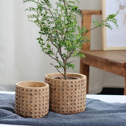 Cementa Verda Planto Florpoto