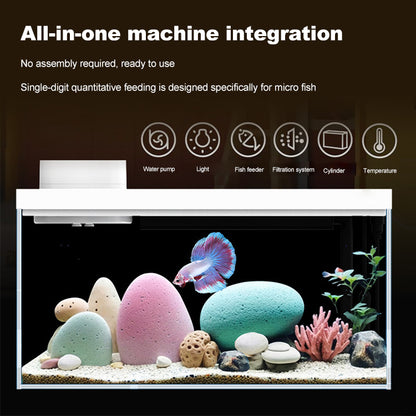 App Remote Feeding Portable Ecological Aquarium