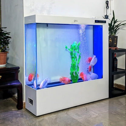 Modern Ultra-clear Glass Screen Aquarium
