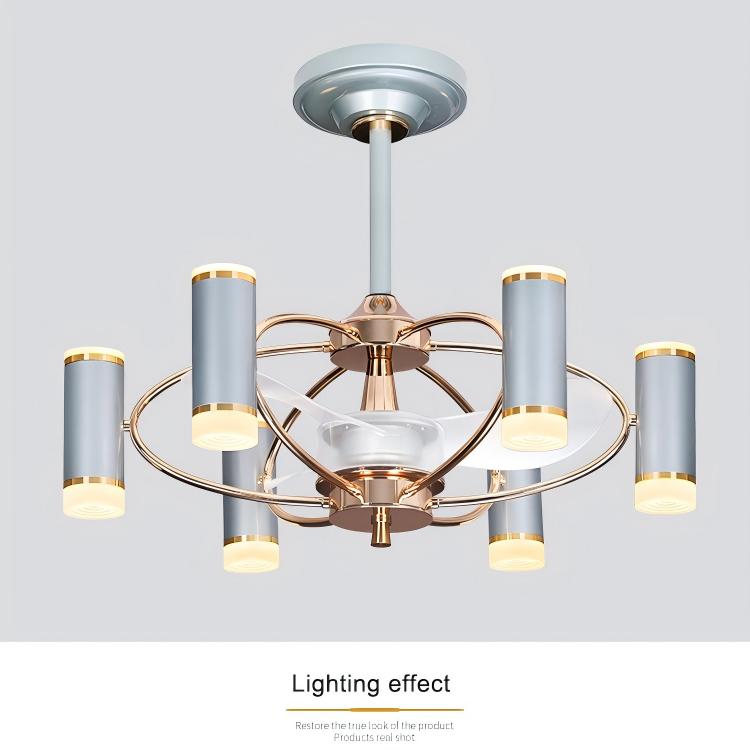 Modern Ceiling Fan Light