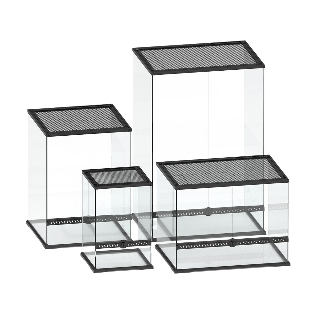 Tropical Glass Reptile Rainforest Tank