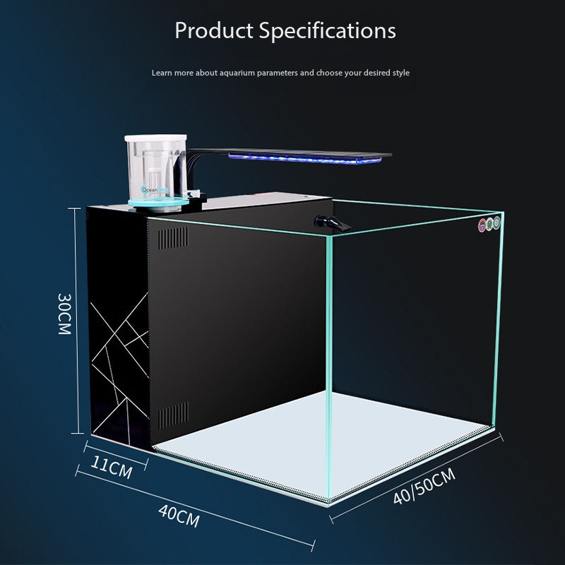 Modern Thickened Glass Seawater Aquarium