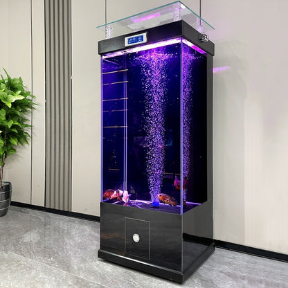Rectangle Big Aquarium with Filtration for Living Room