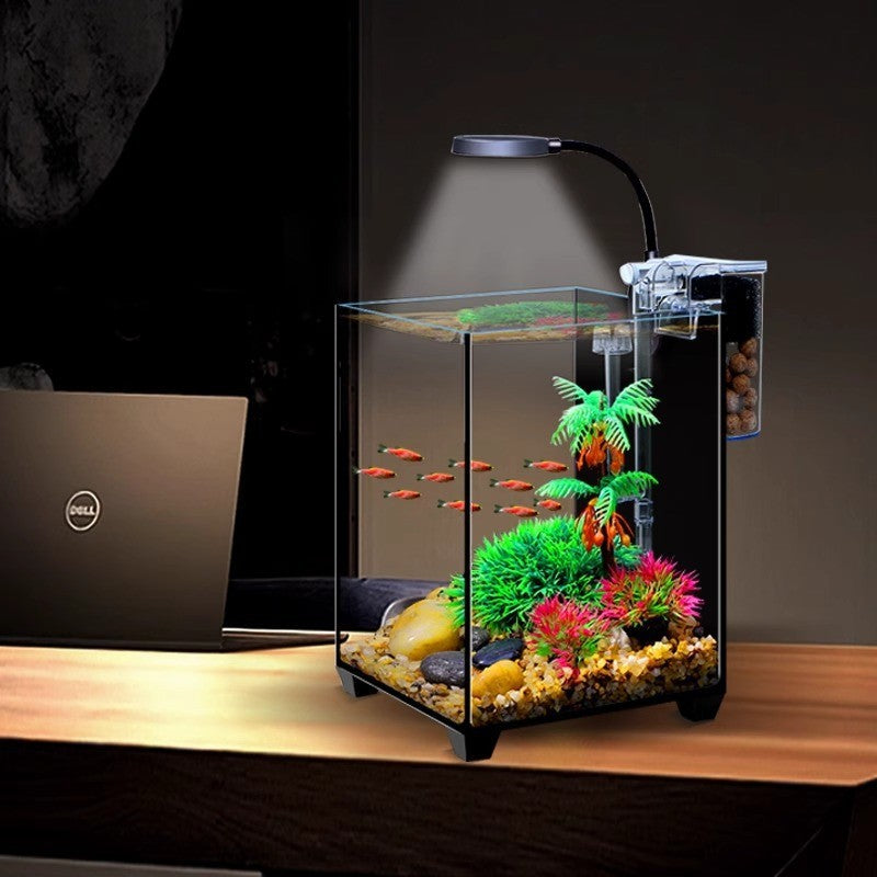 Modern Ultra-clear Glass Aquarium