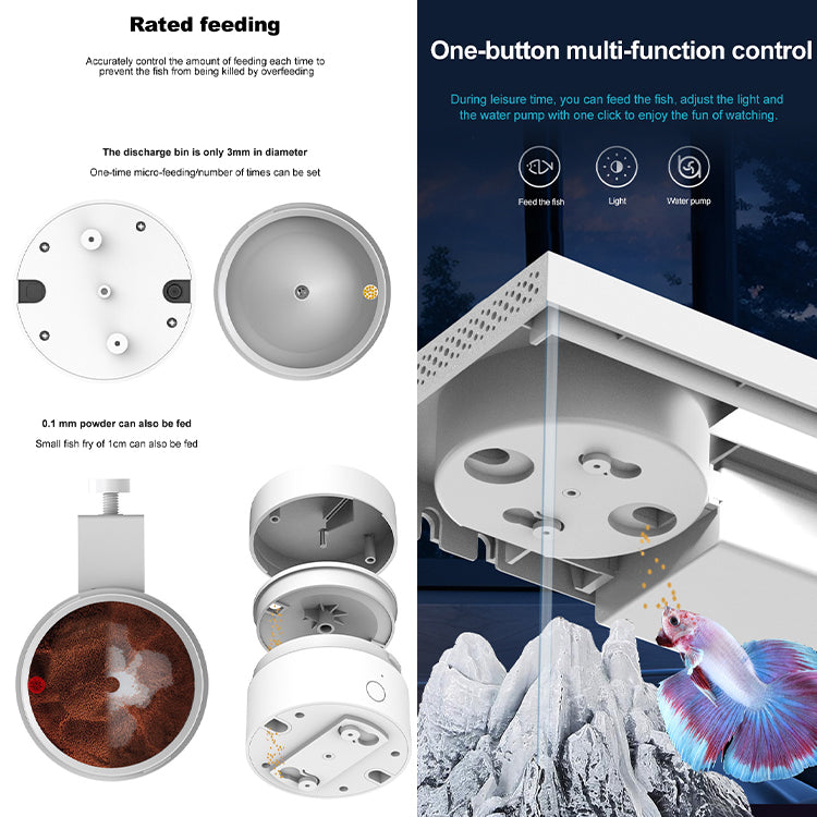 App Remote Feeding Portable Ecological Aquarium