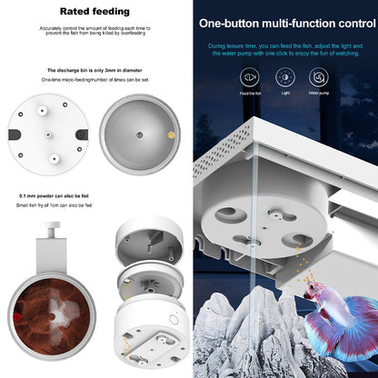 App Remote Feeding Portable Ecological Aquarium
