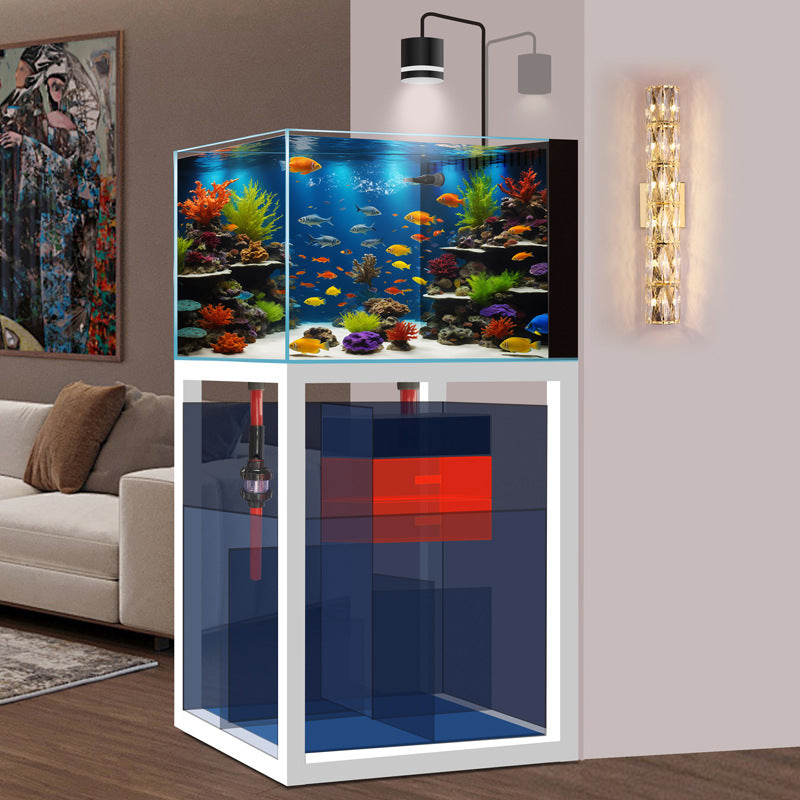 2026 Ultra Clear Saltwater Coral Aquarium