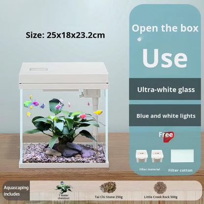 Super White Glass Freshwater Aquarium
