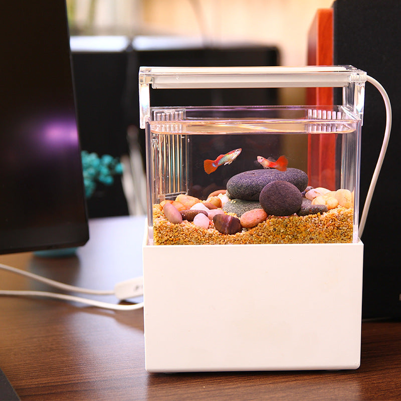 Modern 6L Smart Acrylic Ecosystem Tank