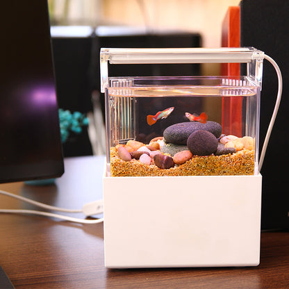 Modern 6L Smart Acrylic Ecosystem Tank