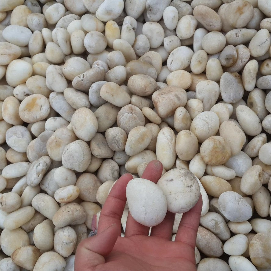 Natural Matt Multi-color Pebbles Paving Stone