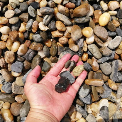 Natural Matt Multi-color Pebbles Paving Stone
