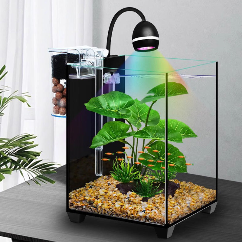 Modern Ultra-clear Glass Aquarium