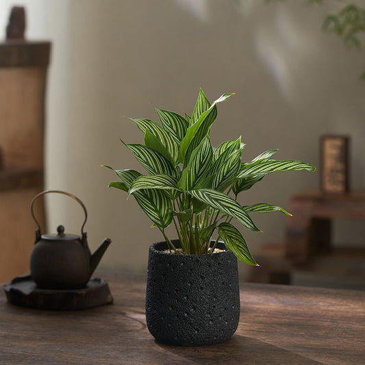Minimalist Volcanic Stone Cement Flowerpot