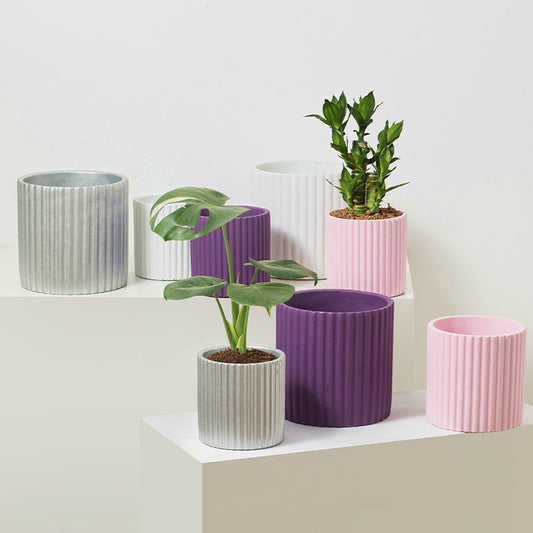 Minimalist Morande Cement Flowerpot