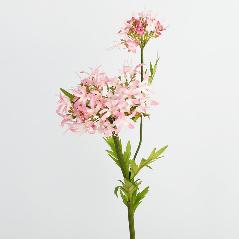 Simulated Bianan Flower Home Flower Arrangement Decoration