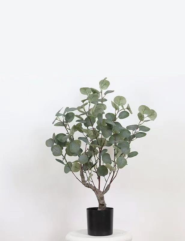 Green Potted Eucalyptus Large Plant Simulation Tree