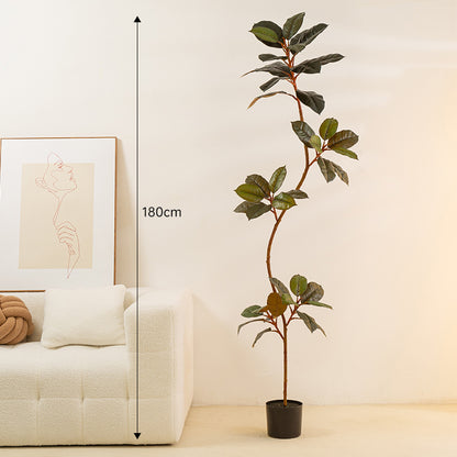 Simulated Large Rubber Tree - Indoor Potted Green Plant
