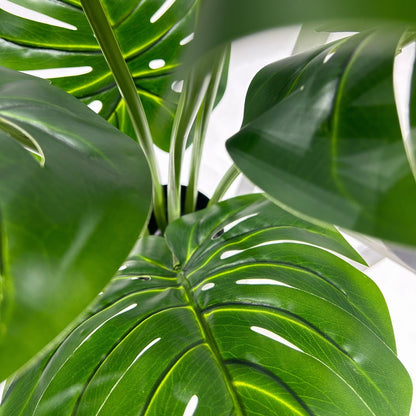 Simulated Turtle-Backed Bamboo Potted Plant