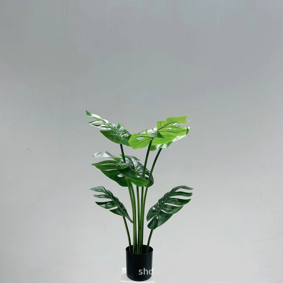 Simulated Turtle-Backed Bamboo Potted Plant