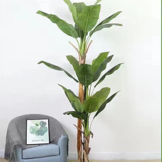 Simulita Plantano-Arbo - Granda Endoma Potita Verda Planto