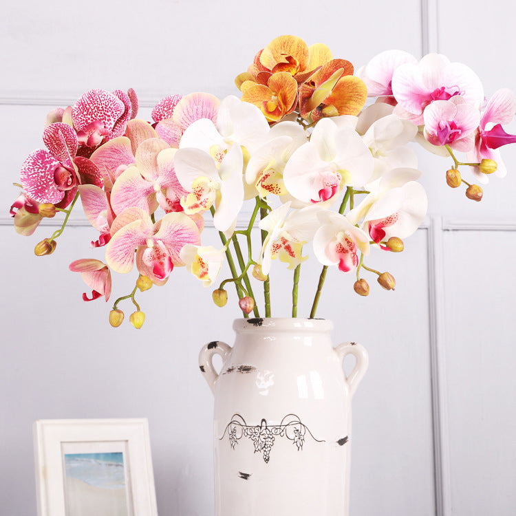 3D Simulation 6-Headed Butterfly Orchid
