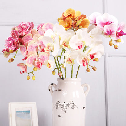 3D Simulation 6-Headed Butterfly Orchid