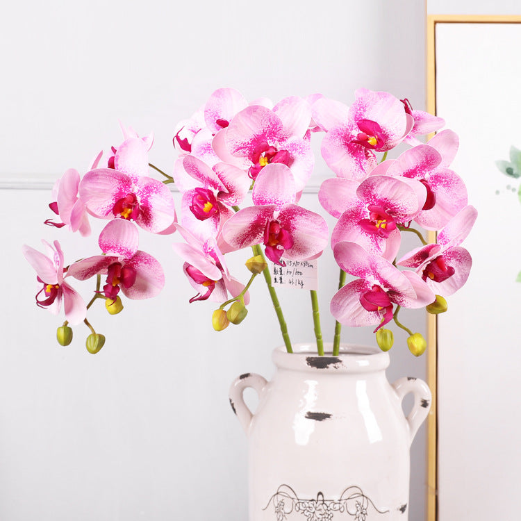 3D Simulation 6-Headed Butterfly Orchid