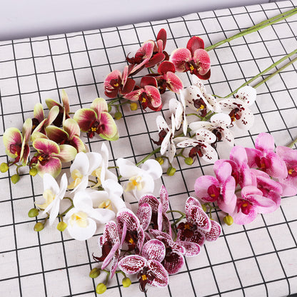 3D Simulation 6-Headed Butterfly Orchid