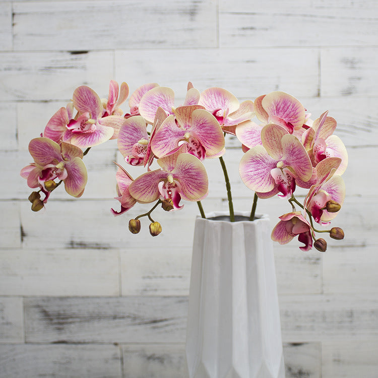 3D Simulation 6-Headed Butterfly Orchid