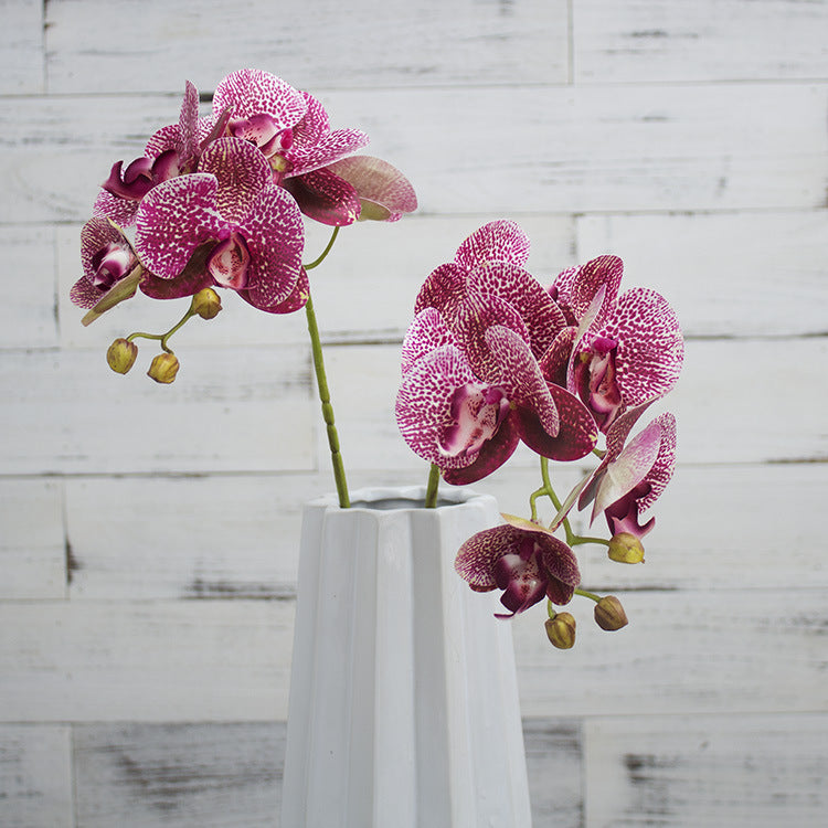 3D Simulation 6-Headed Butterfly Orchid